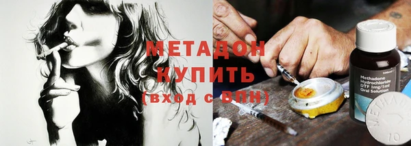 шишки Инта