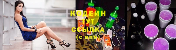 шишки Инта