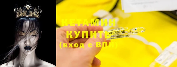 шишки Инта