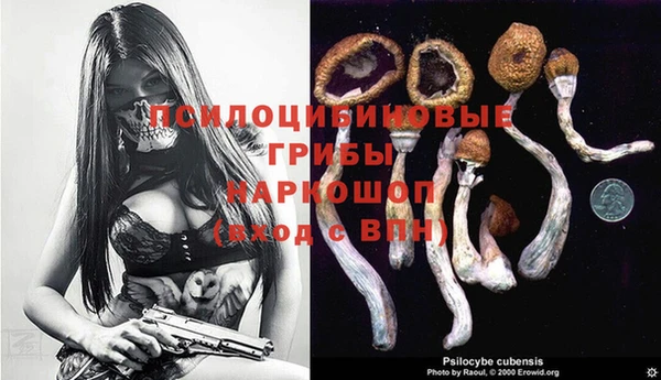 трава Зеленодольск