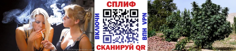 Бошки Шишки ГИДРОПОН Касли